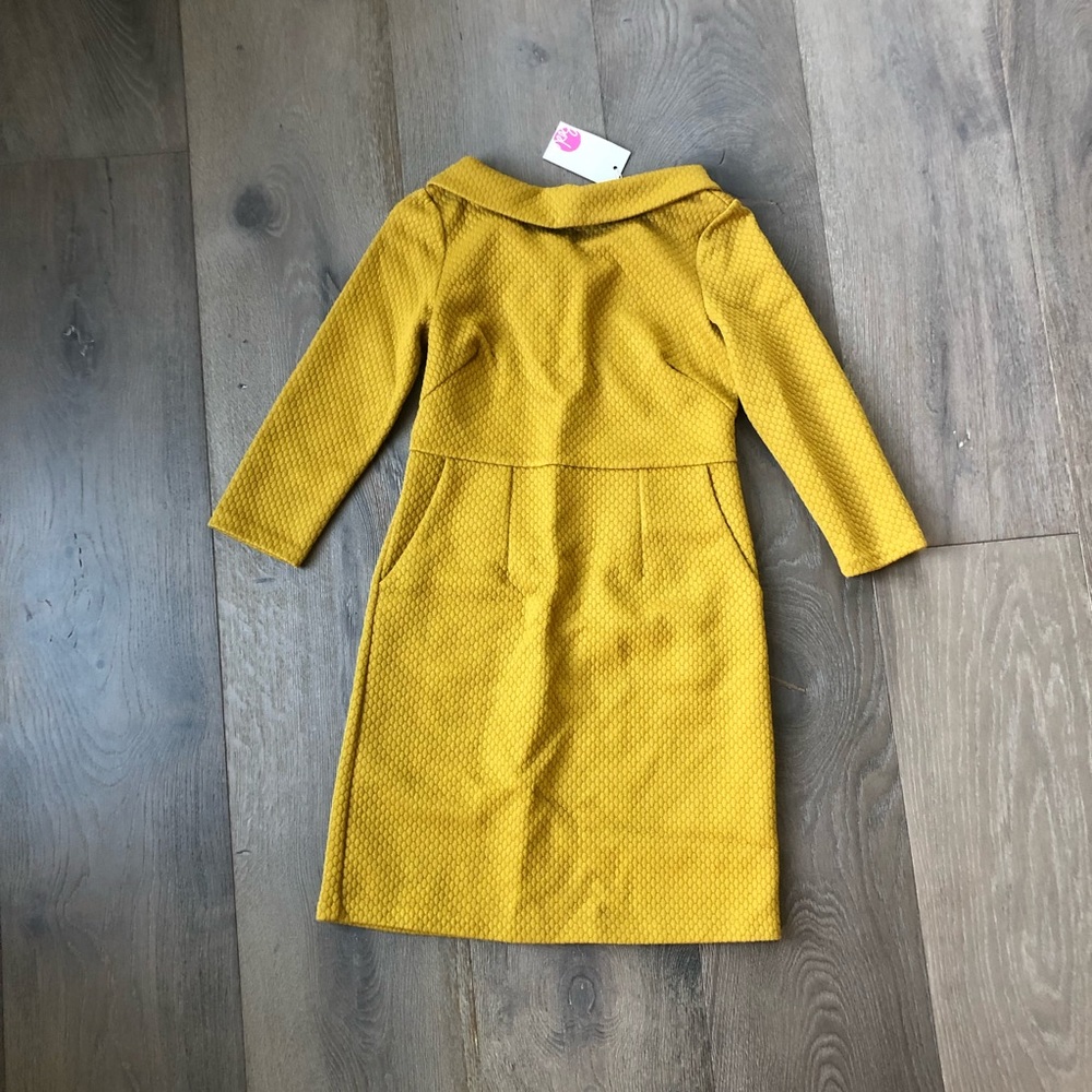 Boden Dress!  Perfect for fall!